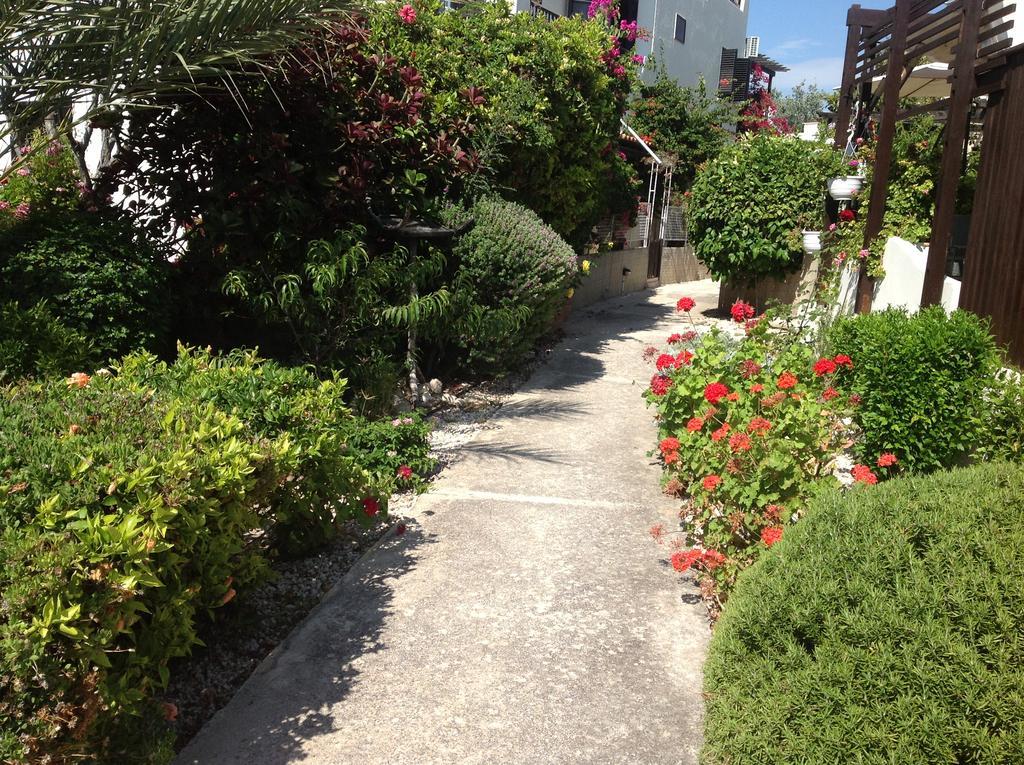 Paphos Townhouse Villa Exterior photo